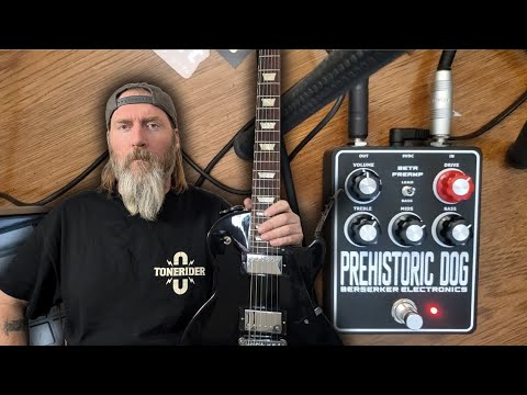 Prehistoric Dog Sunn Beta Preamp