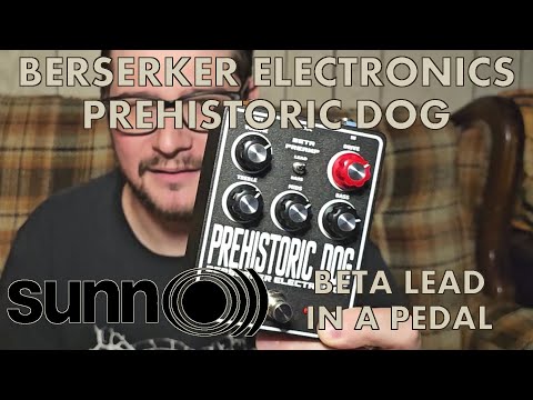 Prehistoric Dog Sunn Beta Preamp